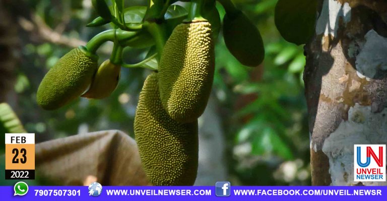 IDICHAKKA SAMBARANAM