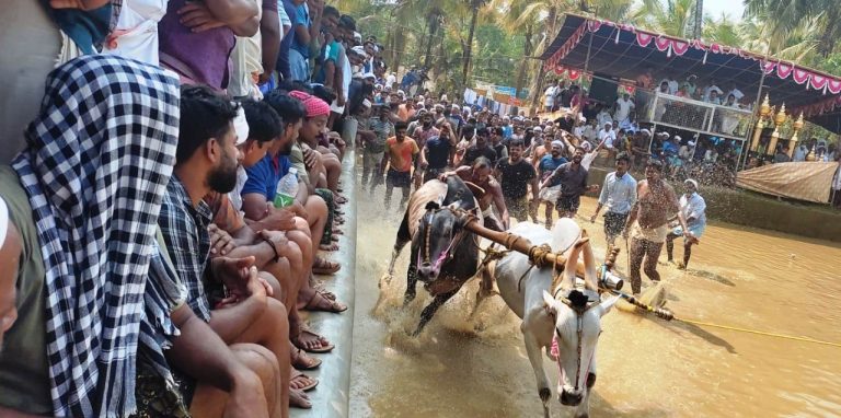 WhatsApp Image 2022-02-28 at 5.44.41 PM