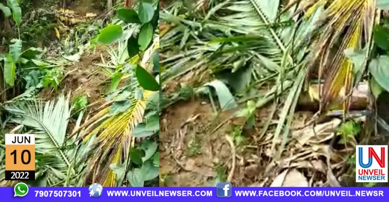 KATTANA KRISHI NASAM