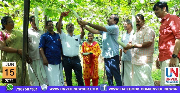RB PACHAKKARI KRISHI