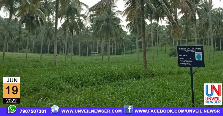 SILENT VALLEY FARM PLATFORM