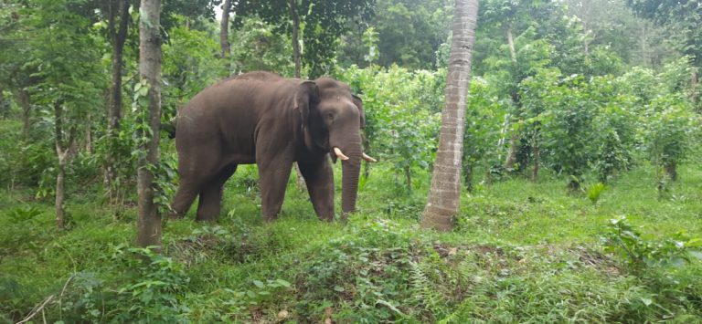 WhatsApp Image 2022-06-16 at 6.55.11 PM