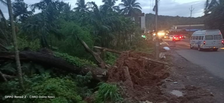 WhatsApp Image 2022-07-17 at 7.13.45 PM