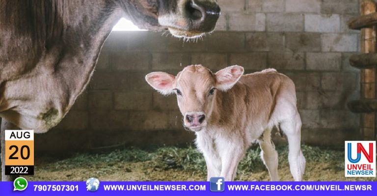 KANNUKUTTI DATHEDUKKAL