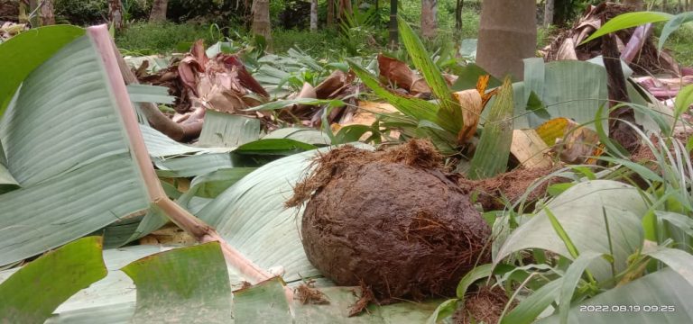 WhatsApp Image 2022-08-19 at 1.15.53 PM