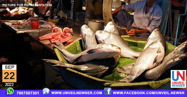 MEEN VILPPANA PARATHI