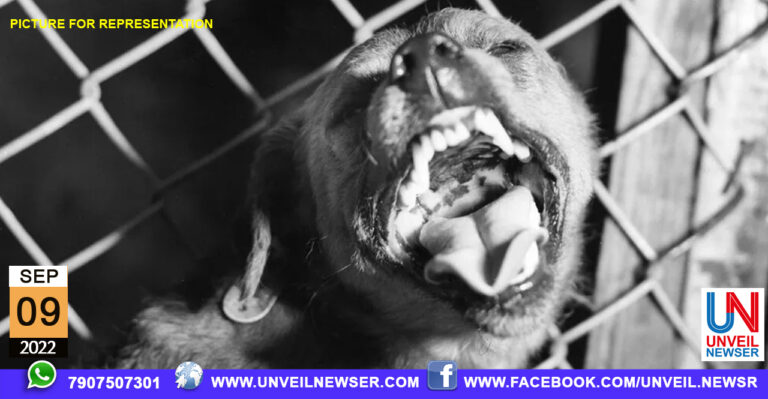 PEVISHA BADHAKKETHIRE