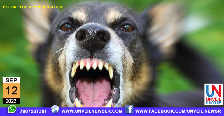 SHOLAYUR PEVISHA BADA