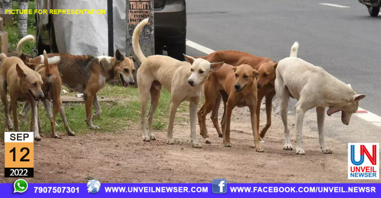STREET DOG ISSU MEETING