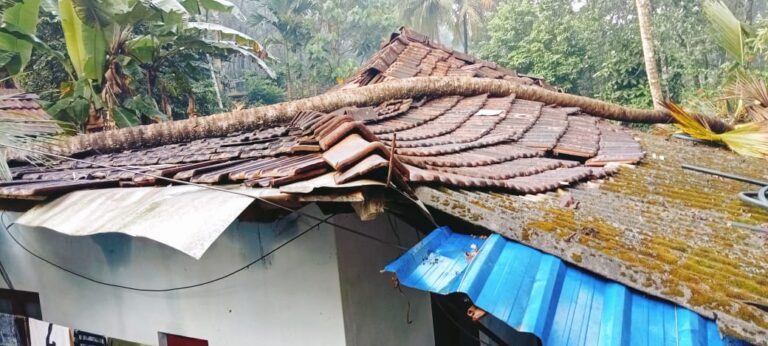 WhatsApp Image 2022-10-18 at 21.46.09