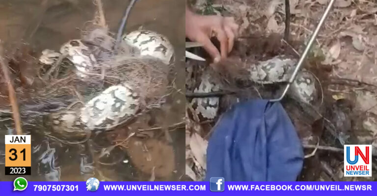 PAMBINE RAKSHAPEDUTHI