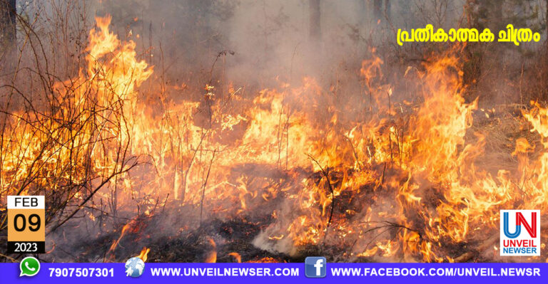 FIRE THENKARA