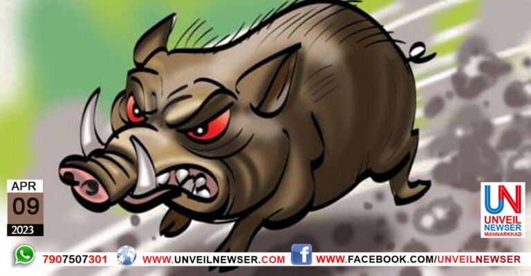 KATTUPANNI AKRAMANAM