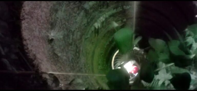 WhatsApp Image 2023-04-12 at 22.30.10