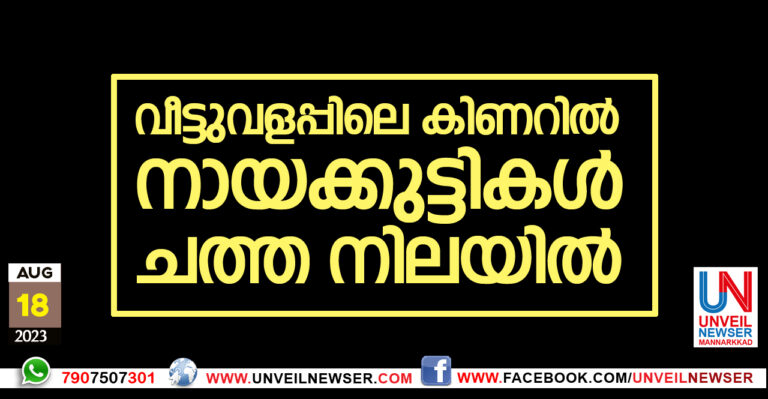 NAYAKUTTI CHATHANILAYIL