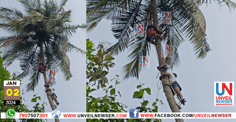 THENGIL NINNUM RAKSHAPEDUTHI