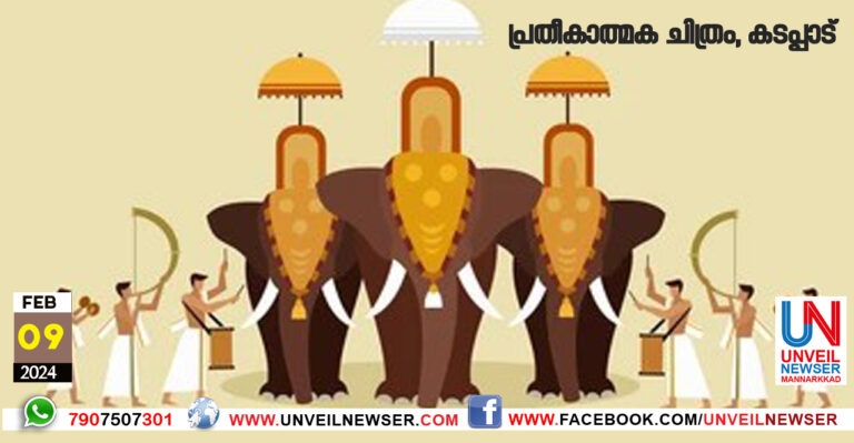 FRESTIVAL GREEN PROTO