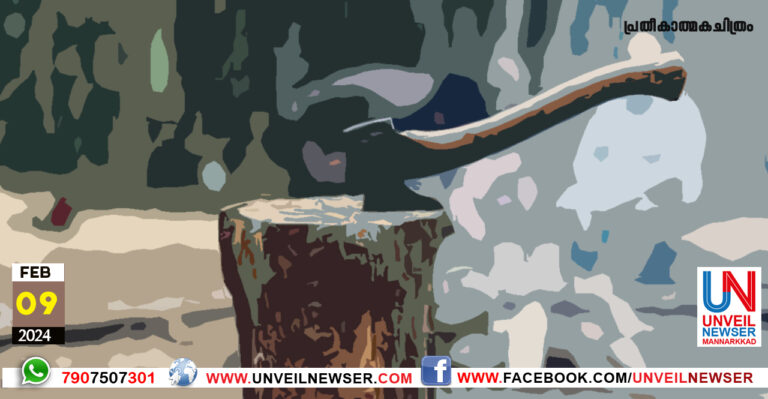 MARAMURI INVESTIGATION