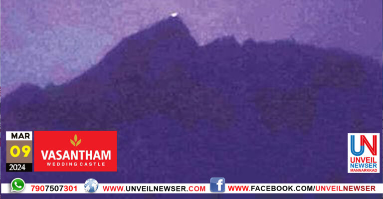 JYOTHI MALLEESARANMUDI