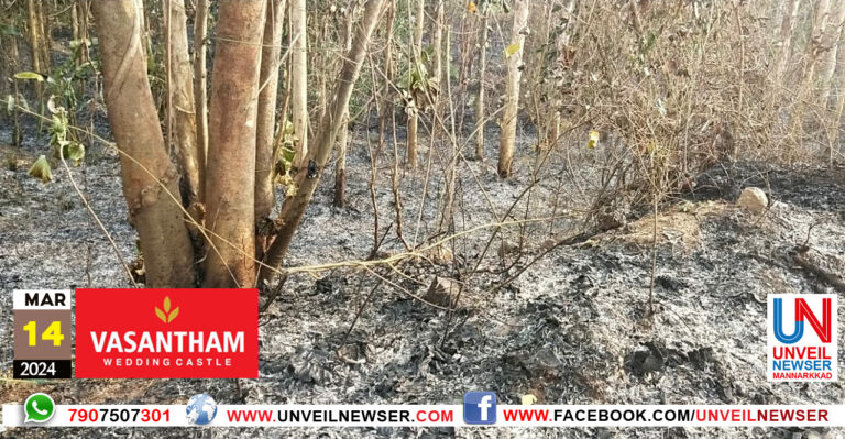 VAIKKOL KATHINASICHU