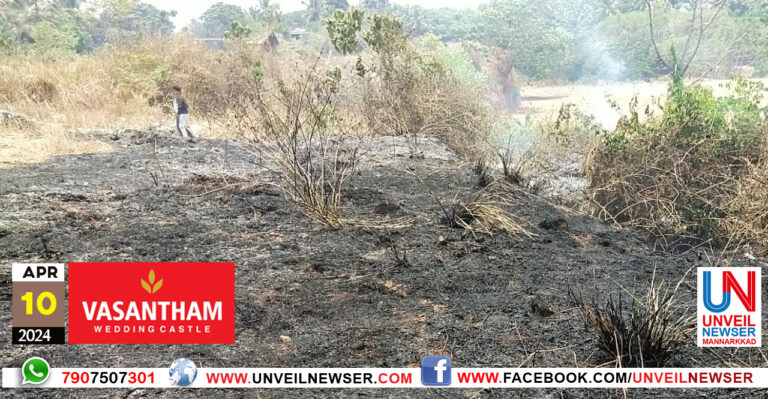 NALIDANGALIL THEEPIDITHAM