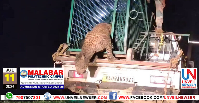 PULIYE VANATHILVITTU