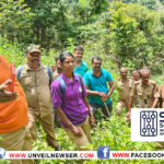 അട്ടപ്പാടിയില്‍ 261 കഞ്ചാവ് ചെടികള്‍ കണ്ടെത്തി നശിപ്പിച്ചു