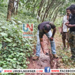 ഉപ്പുകുളത്ത് കടുവയെ കണ്ടെന്ന്, വനപാലകര്‍ സ്ഥലത്ത് പരിശോധന നടത്തി