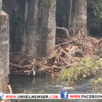 കുന്തിപ്പുഴയില്‍ മലവെള്ളപ്പാച്ചില്‍; ഒഴുകിയെത്തിയവന്‍മരങ്ങള്‍ പാലത്തിന്റെ തൂണുകളില്‍ തങ്ങിനില്‍ക്കുന്നു