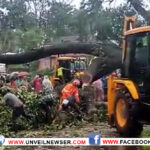 ദേശീയപാതയില്‍ മരംവീണ് ഗതാഗതം തടസ്സപ്പെട്ടു