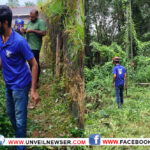 പാതയോരത്തെ കാട് വെട്ടിനീക്കി ട്രോമാകെയര്‍