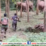 കാട്ടാനപ്രതിരോധത്തില്‍ തിരുവിഴാംകുന്ന് മാതൃക