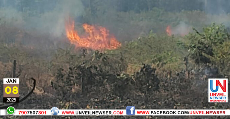 THEEPIDITHAM THUDANGI