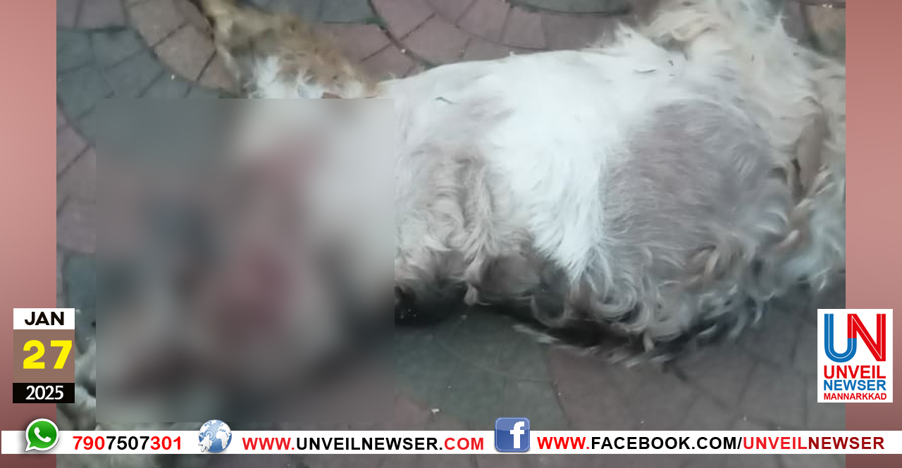 VANYAMRIGAM AKRAMICHU