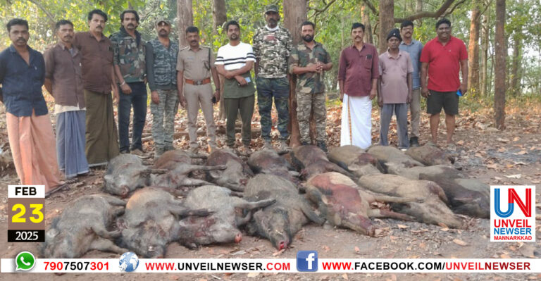 KATTUPANNI VETTA KPUTHUR