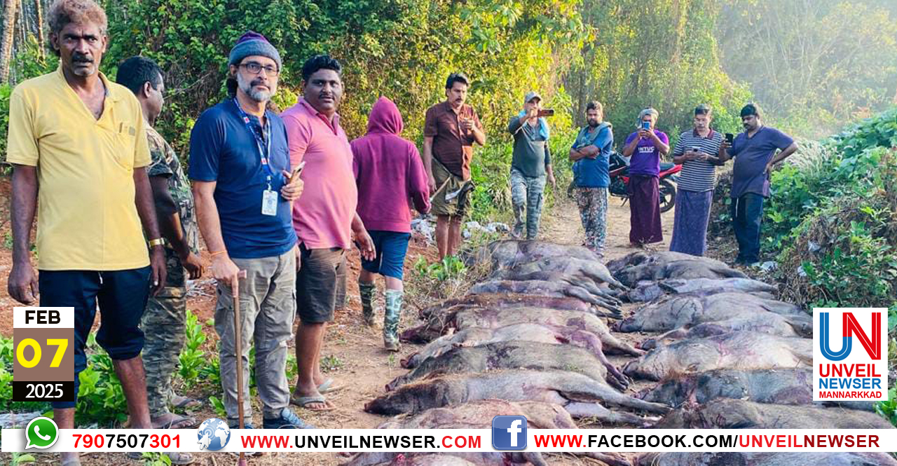 KATTUPANNIKALE VEDIVECHU