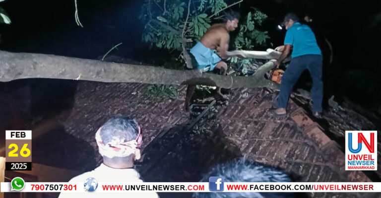 MARAM VEENU THAKARNNU