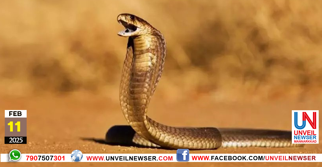 PAMBUKADIYETTU MARANAM