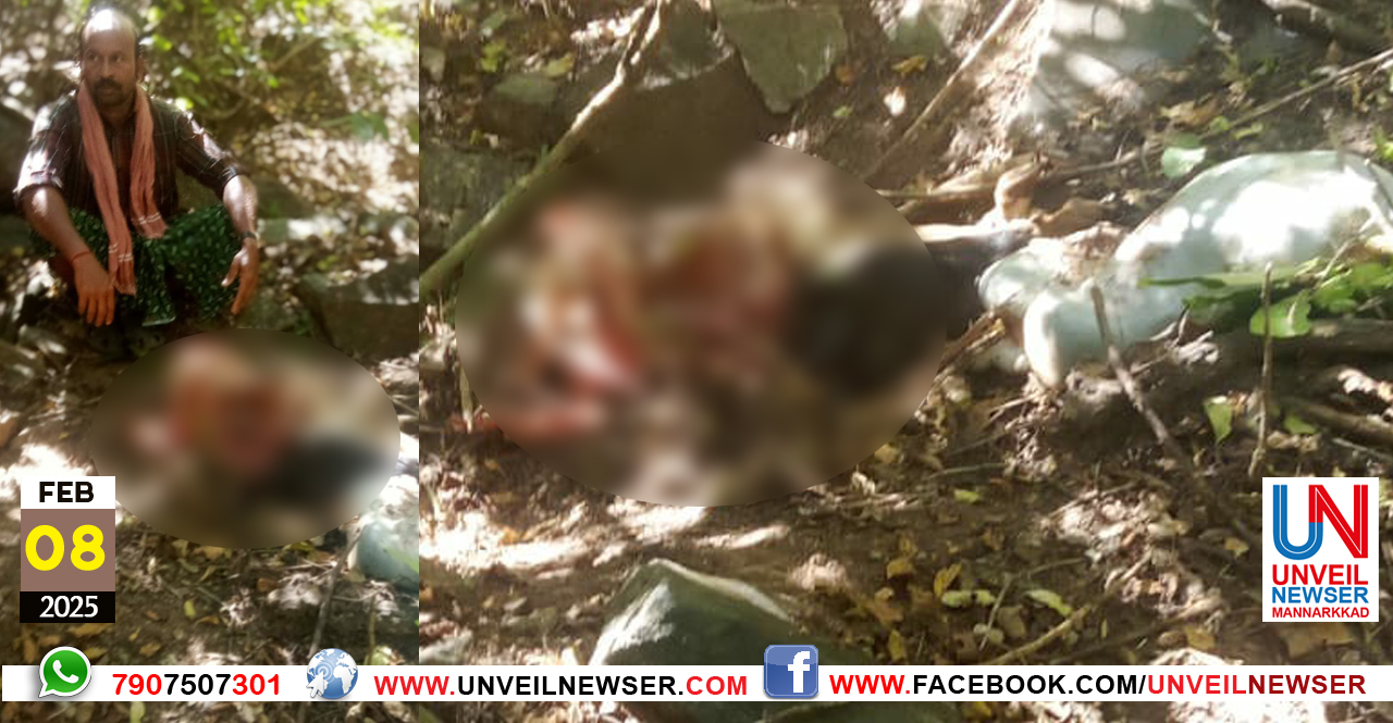 PASUVINE PULIPIDICHU