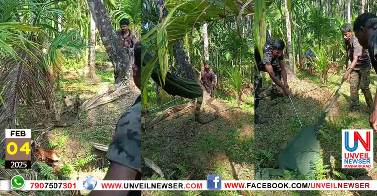 RAJA VEMBALA PIDIYIL