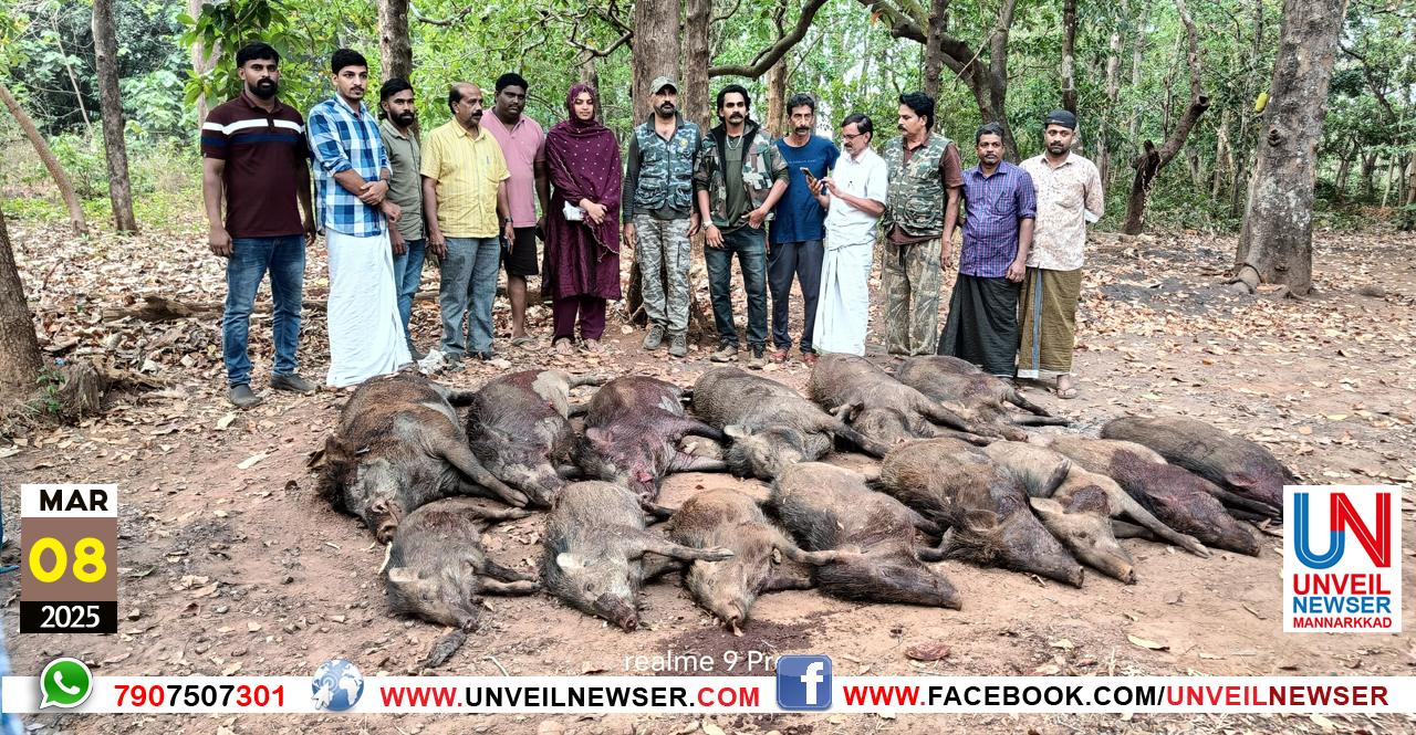 KATTUPANNI VETTA ALANALLUR