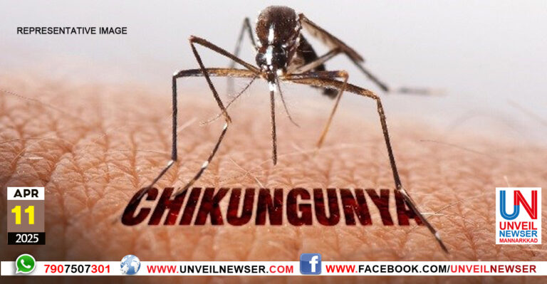 CHIKUNGUNIA