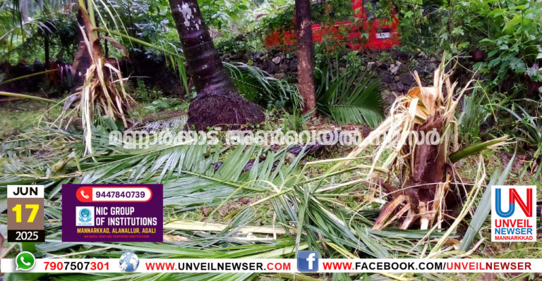 IRUMBAKACHAOLA KATTANA