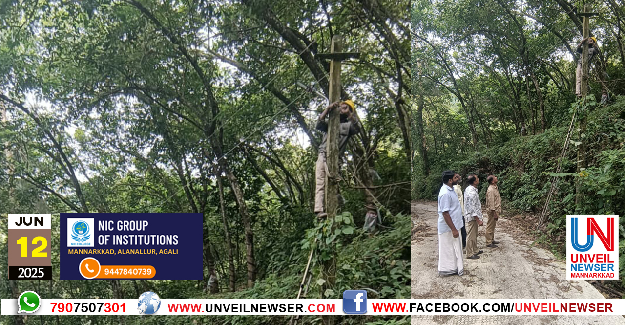 STREET LIGHT STHAPICHU