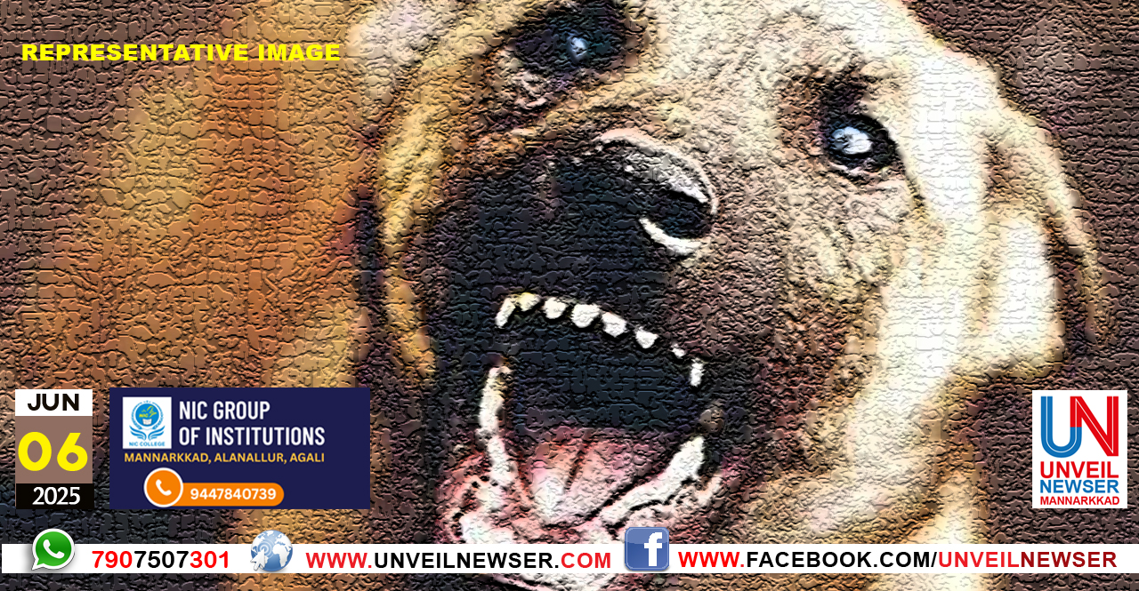 THERUVU NAYA AKRAMANAM