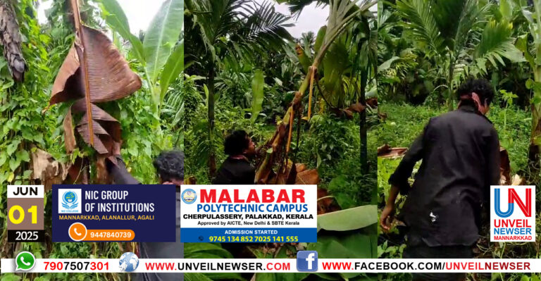 VAZHA VETTINASIPPICHU