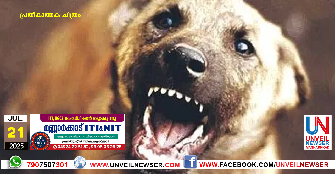 DOG ATTACK