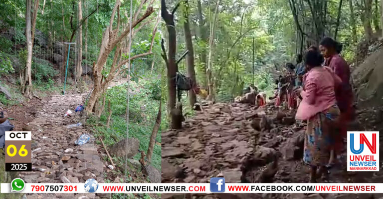 KATTUKALLU PATHIKKAL