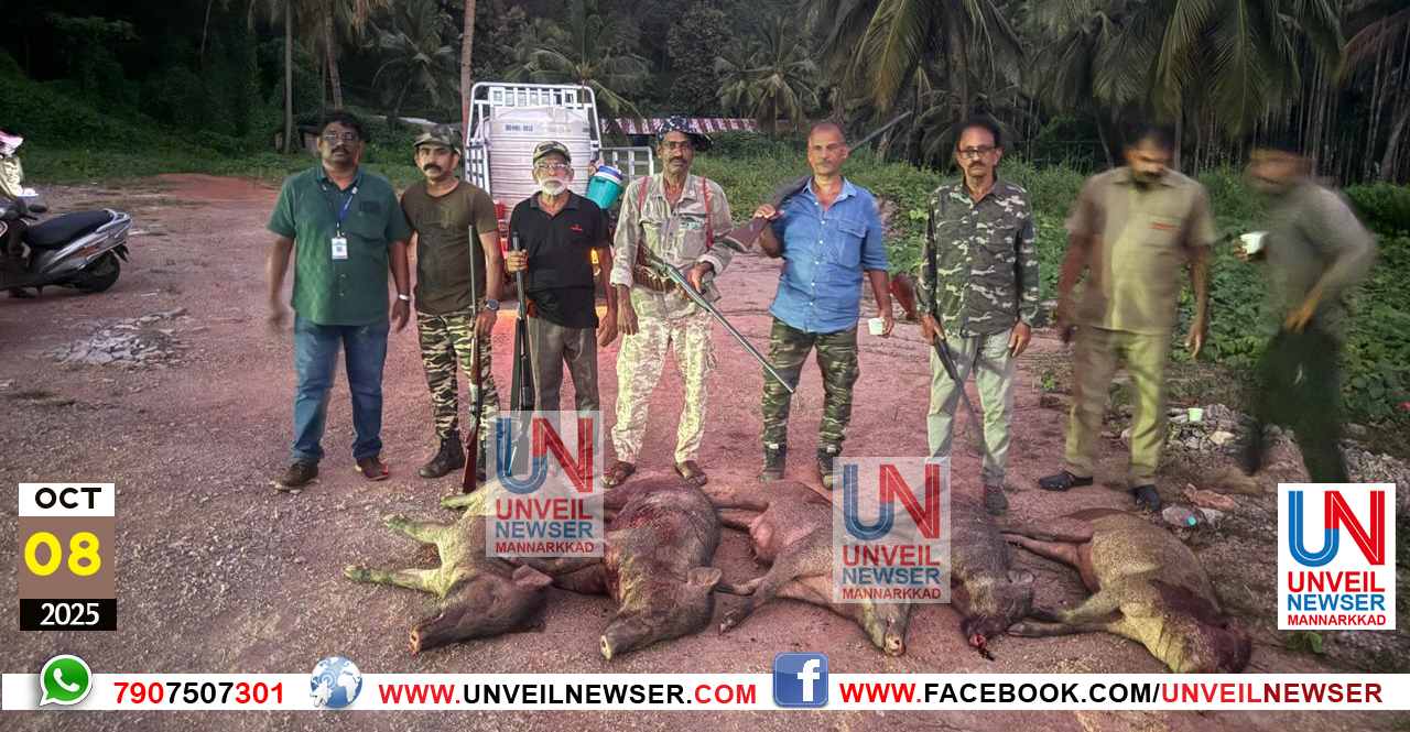 KATTUPANNIKALE KONNU