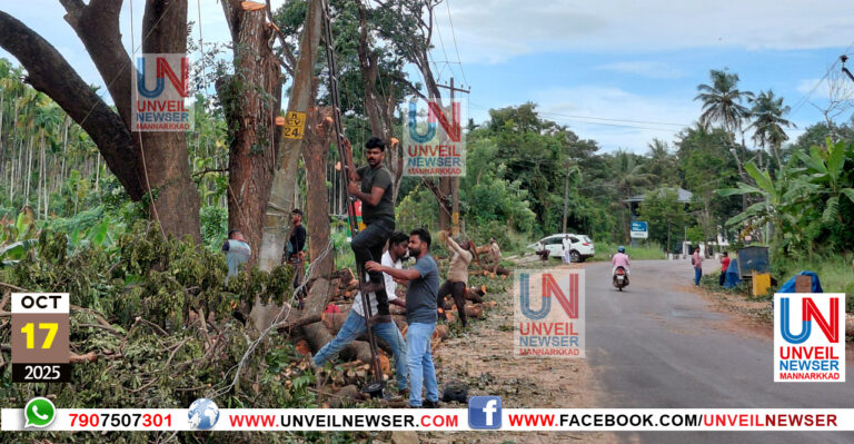 MALAYORAM MARAM MURI